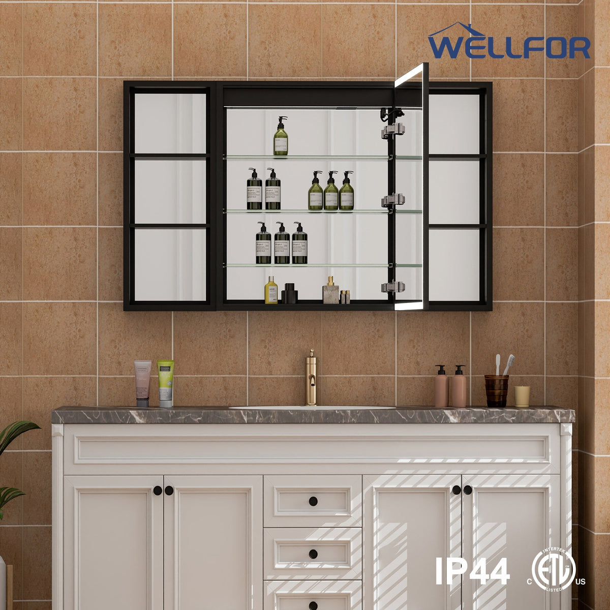 WELLFOR W12 48-in x 30-in Lighted LED Fog Free Surface/Recessed Mount Anodized Black Aluminum Mirrored Soft Close Medicine Cabinet with Outlet