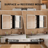 WELLFOR W12 60-in x 30-in Lighted LED Fog Free Surface/Recessed Mount Anodized Black Aluminum Mirrored Soft Close Medicine Cabinet with Outlet