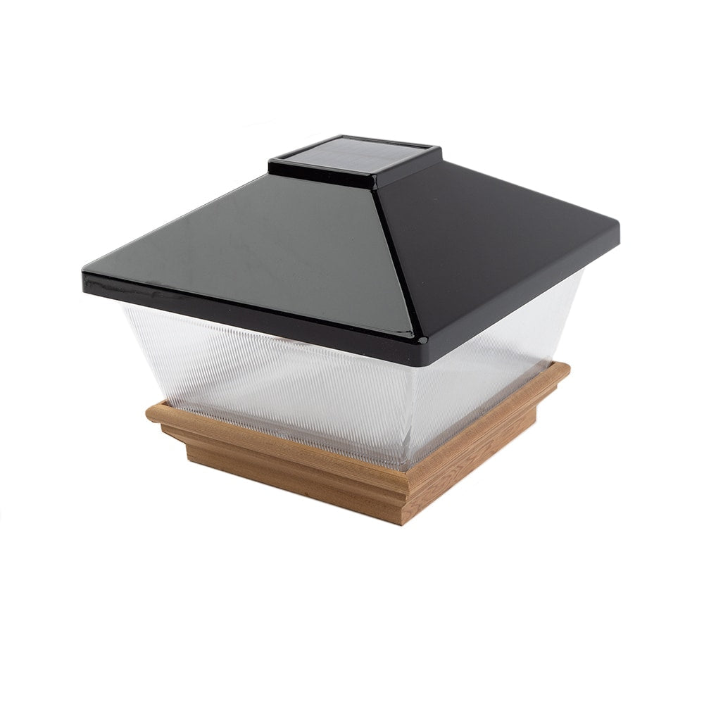 A single green leaf against a white background.