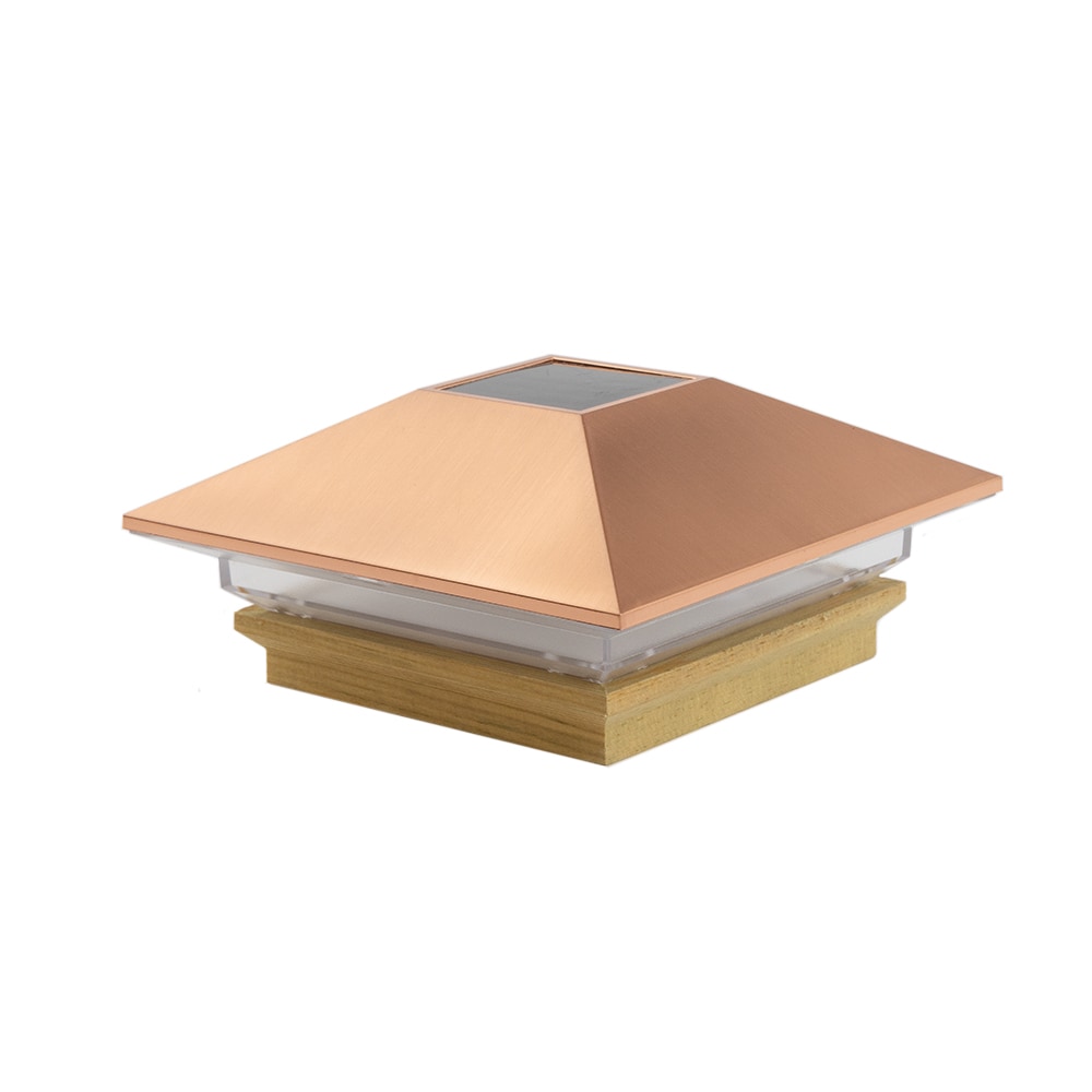 A single green leaf against a white background.