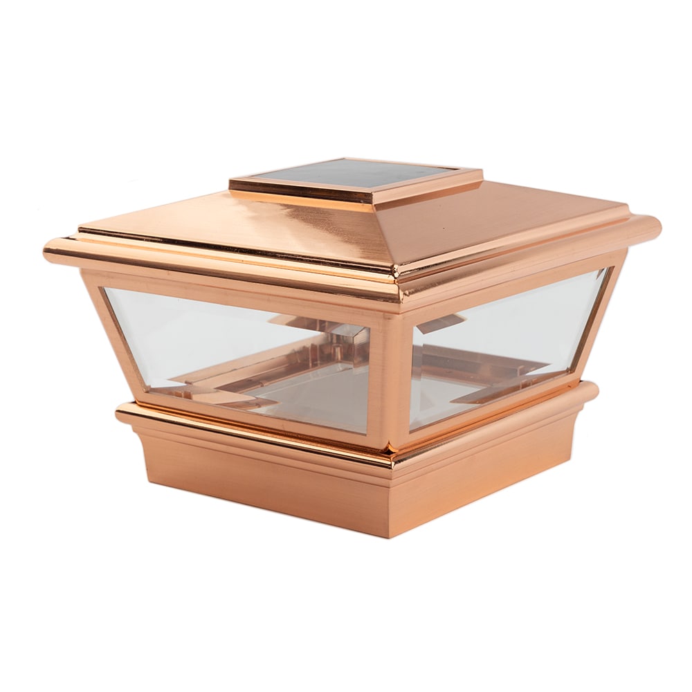 A single green leaf against a white background.