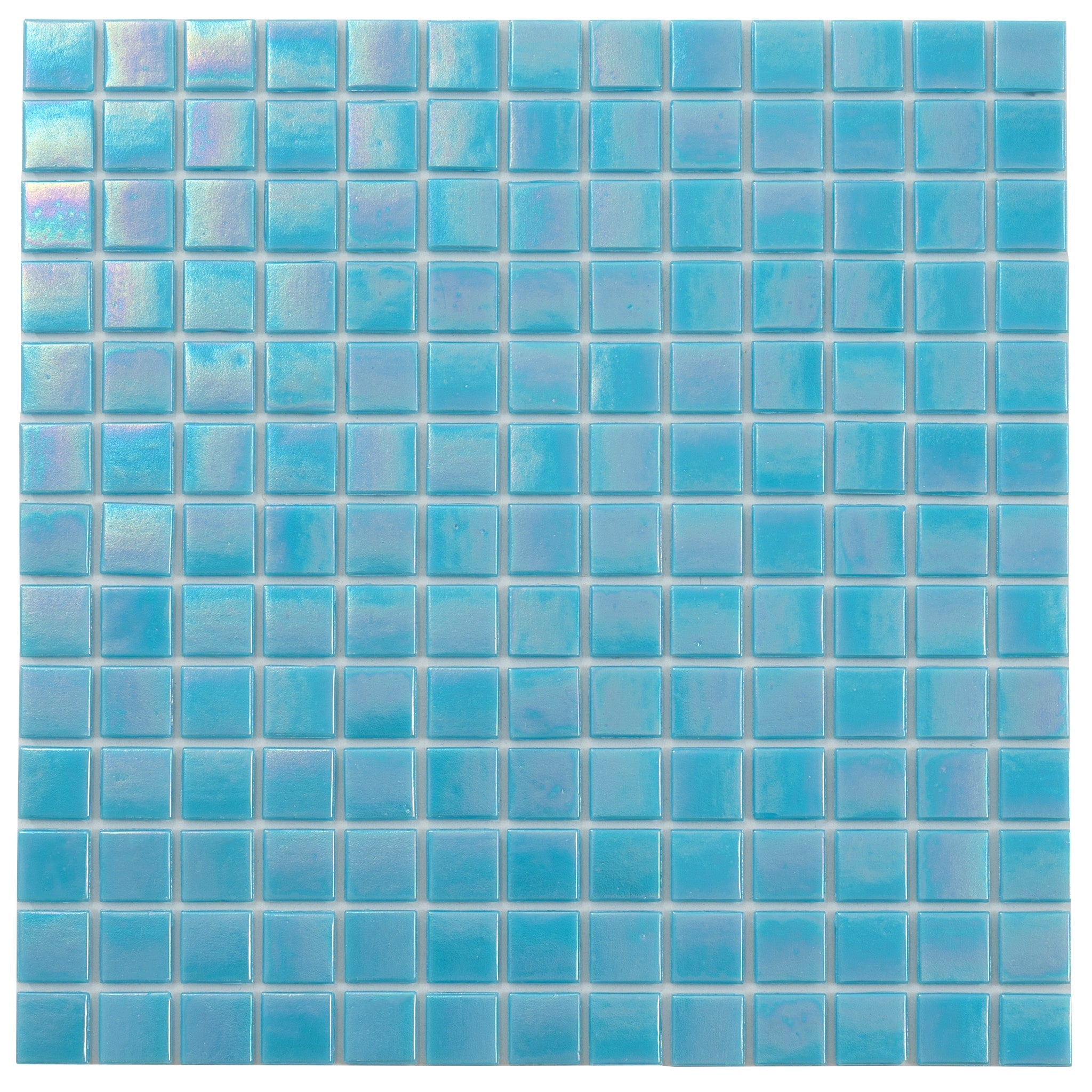 A single green leaf against a white background.