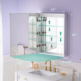 WELLFOR VICK 24-in x 30-in Lighted LED Fog Free Surface/Recessed Mount Silver Mirrored Soft Close Medicine Cabinet with Outlet
