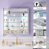 WELLFOR VICK 24-in x 30-in Lighted LED Fog Free Surface/Recessed Mount Silver Mirrored Soft Close Medicine Cabinet with Outlet