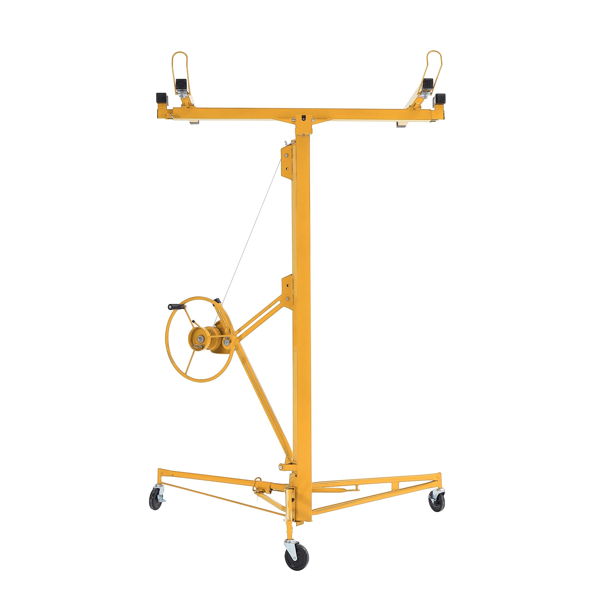 A single green leaf against a white background.