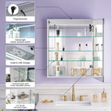 WELLFOR VICK 24-in x 30-in Lighted LED Fog Free Surface/Recessed Mount Silver Mirrored Soft Close Medicine Cabinet with Outlet