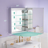 WELLFOR VICK 24-in x 30-in Lighted LED Fog Free Surface/Recessed Mount Silver Mirrored Soft Close Medicine Cabinet with Outlet