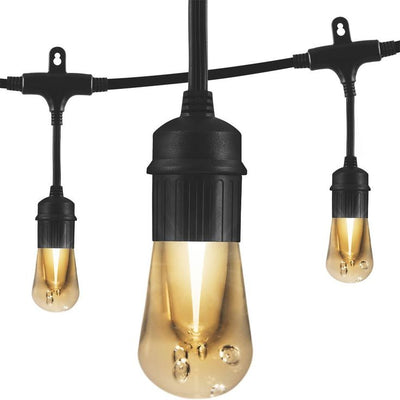 12-Bulb 24 ft. Vintage  Cafe Integrated LED String Lights, Black