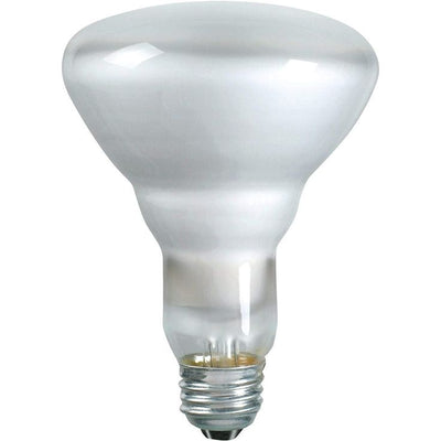 Philips 65-Watt Incandescent BR30 Flood Light Bulb Soft White (2700K) (12-Pack)
