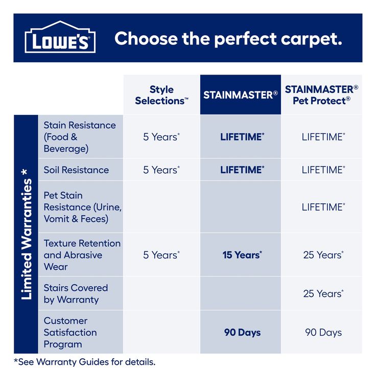 STAINMASTER Essentials So Happy Enhanted Night Pattern Carpet (Indoor)