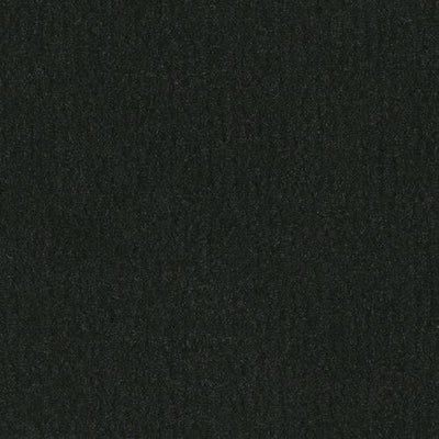 -Daytar Black Plush Carpet Sample (Interior/Exterior)