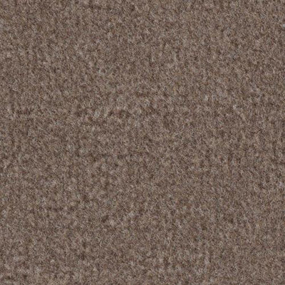 -Daytar Sandstone Plush Carpet Sample (Interior/Exterior)
