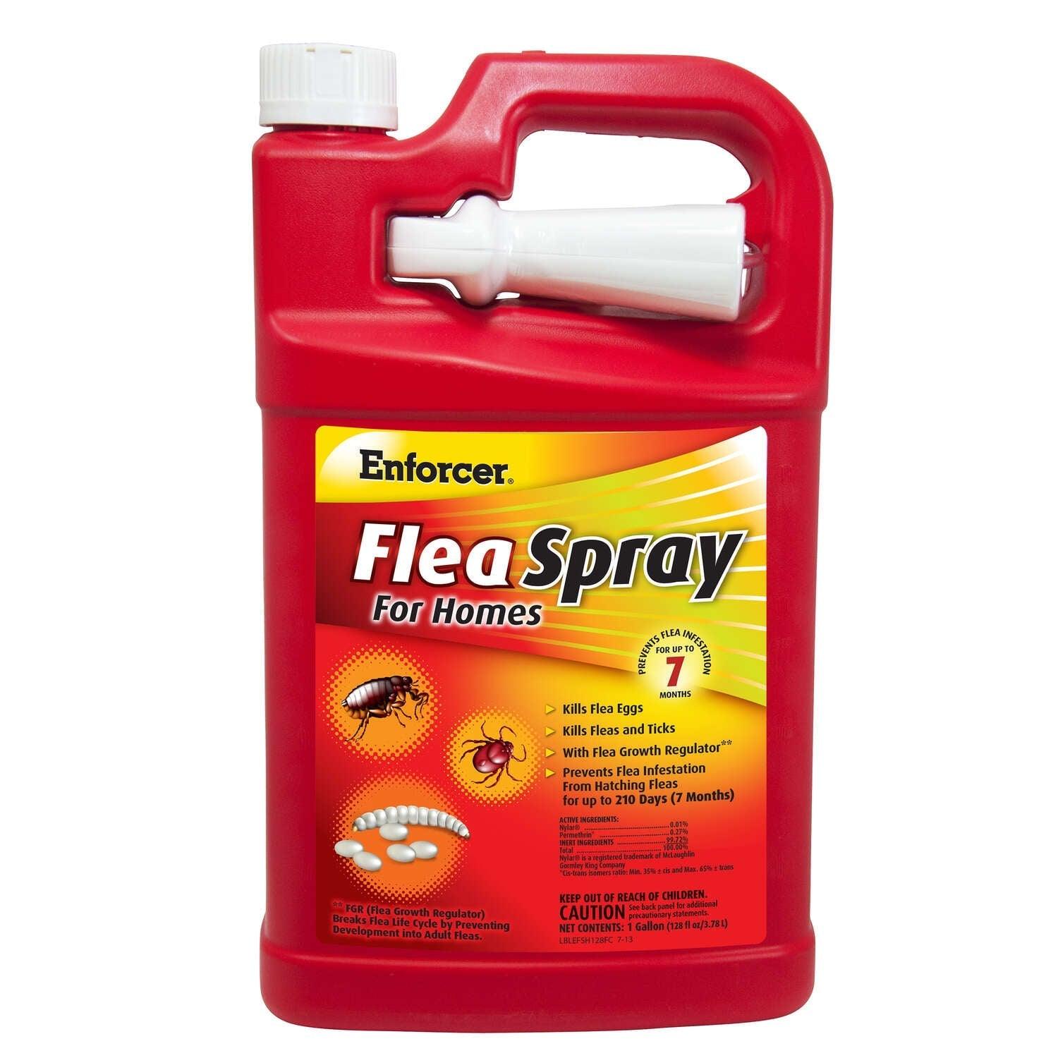 Enforcer Flea Spray for Homes Liquid Insect Killer 1 gal – Super Arbor