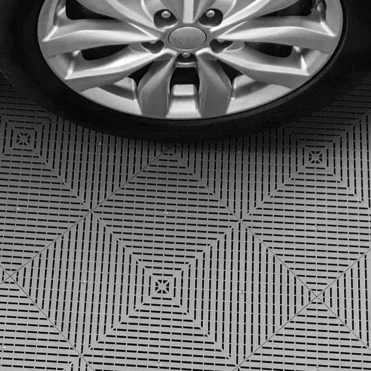 A single green leaf against a white background.