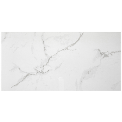 Calacutta Bianco Gloss Porcelain Wall and Floor Tile - 12 x 24 in.