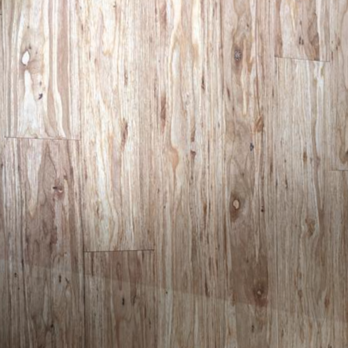 A single green leaf against a white background.