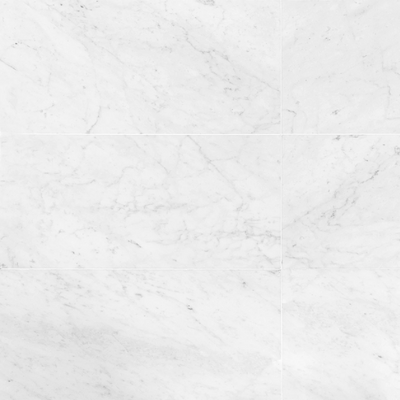 Carrara 16x32 Polished Marble Tile