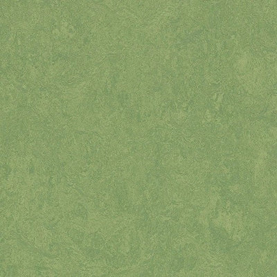 Forbo Marmoleum Cinch Loc Seal Leaf 11.81" x 35.43" Linoleum Panel (20.34 sq.ft/case)