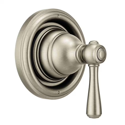 Moen Brushed Nickel Lever Shower Handle