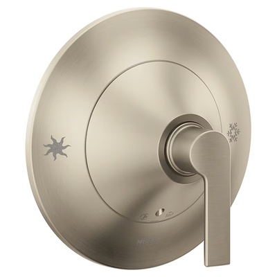 Moen Brushed Nickel Lever Shower Handle