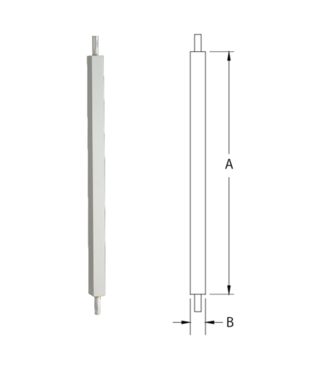 A single green leaf against a white background.