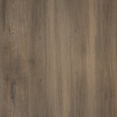 Tupelo Oak 22 MIL x 8.7 in. W x 48 in. L Click Lock Waterproof Luxury Vinyl Plank Flooring (20.06 sqft/case)