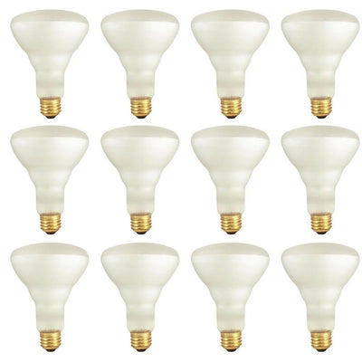 Bulbrite 65-Watt BR30 Frost Dimmable Warm White Light Incandescent Light Bulb (12-Pack)