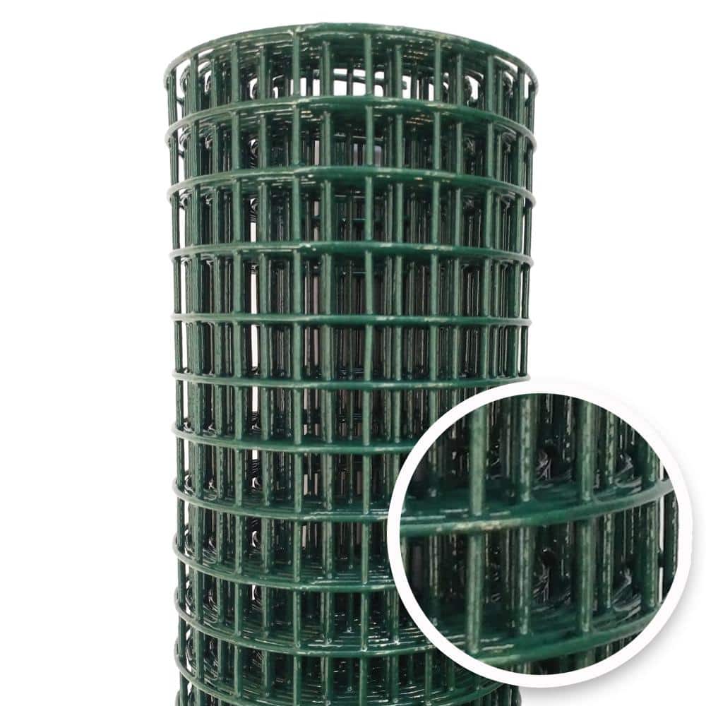 A single green leaf against a white background.