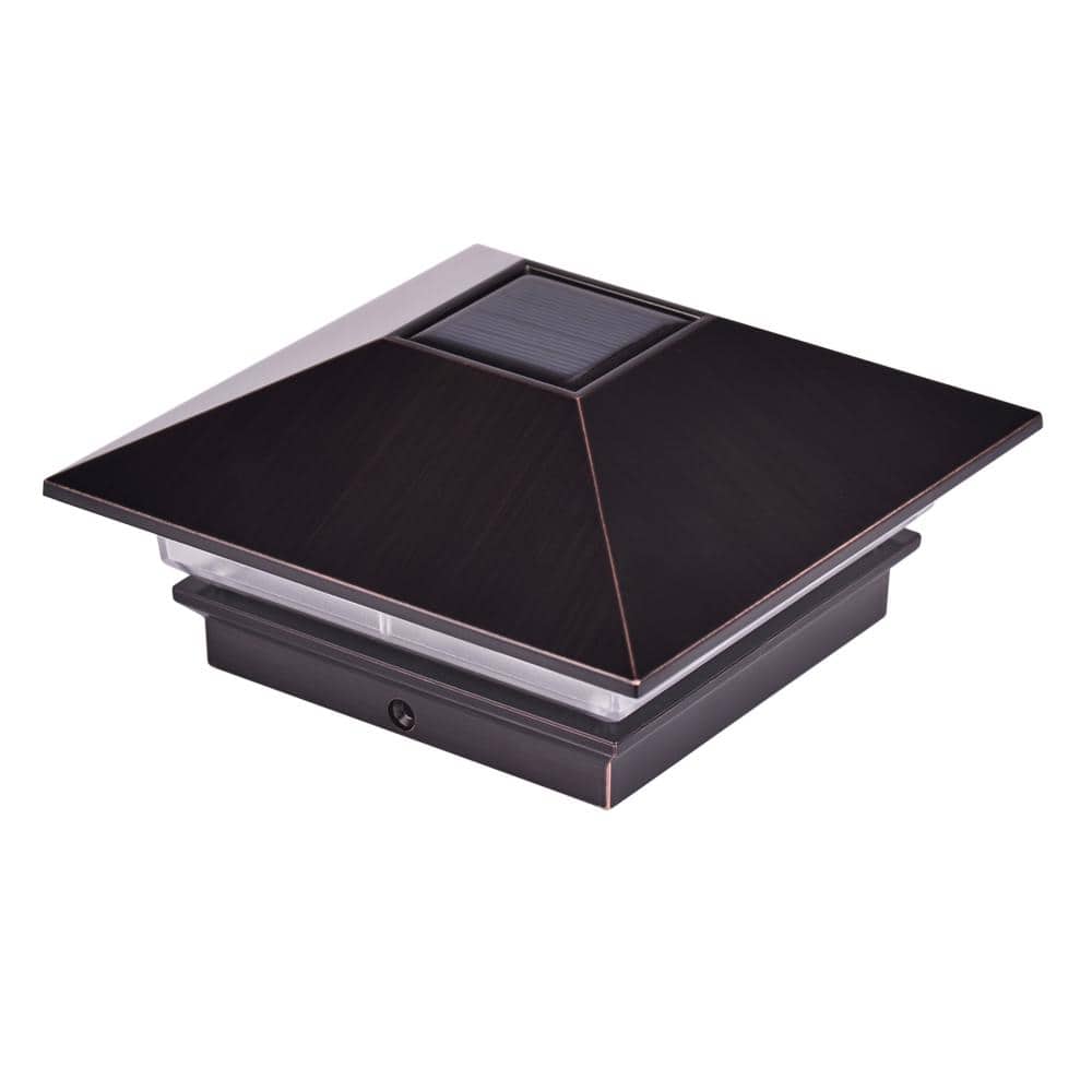 A single green leaf against a white background.