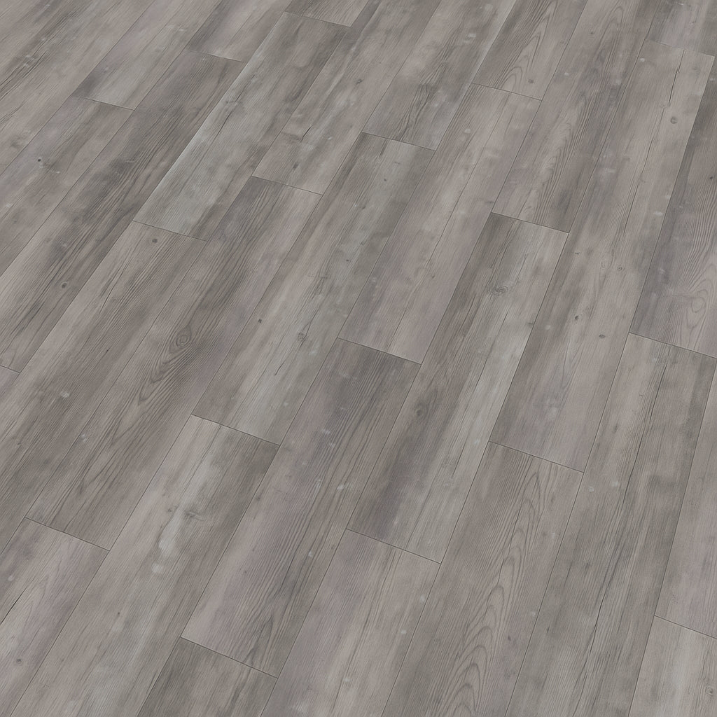 A single green leaf against a white background.