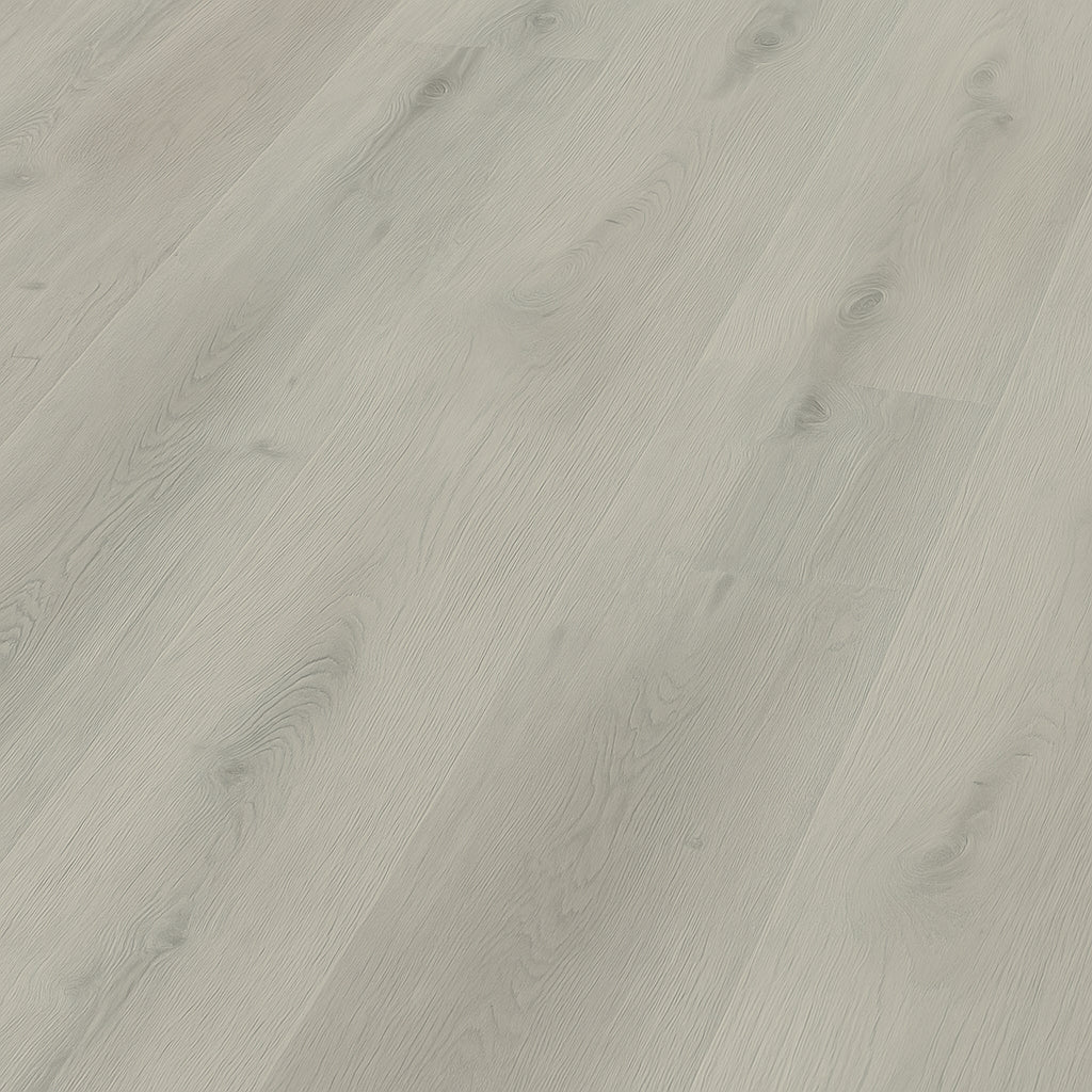 A single green leaf against a white background.