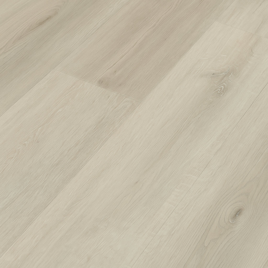 A single green leaf against a white background.