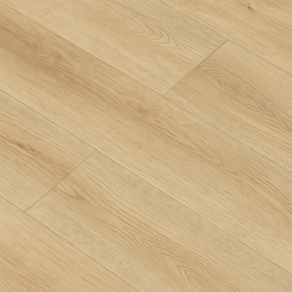 A single green leaf against a white background.