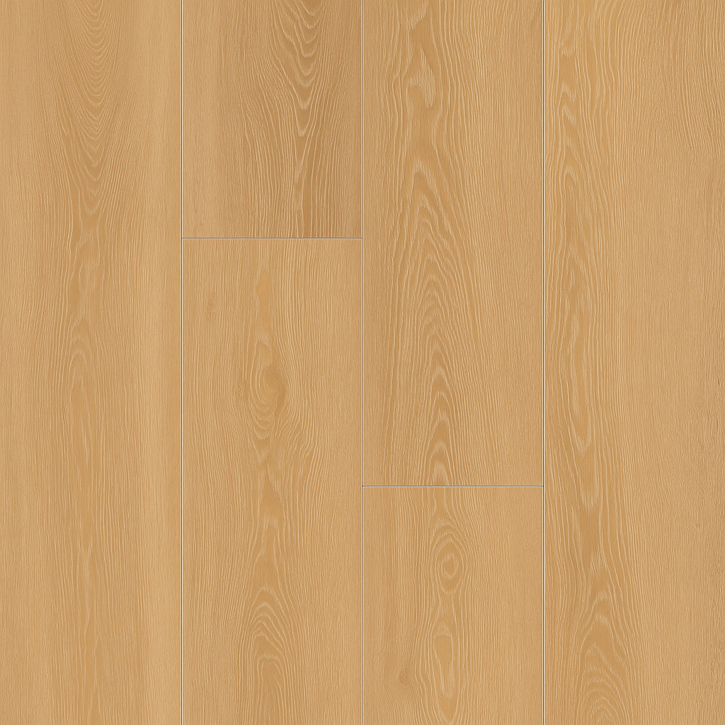 A single green leaf against a white background.