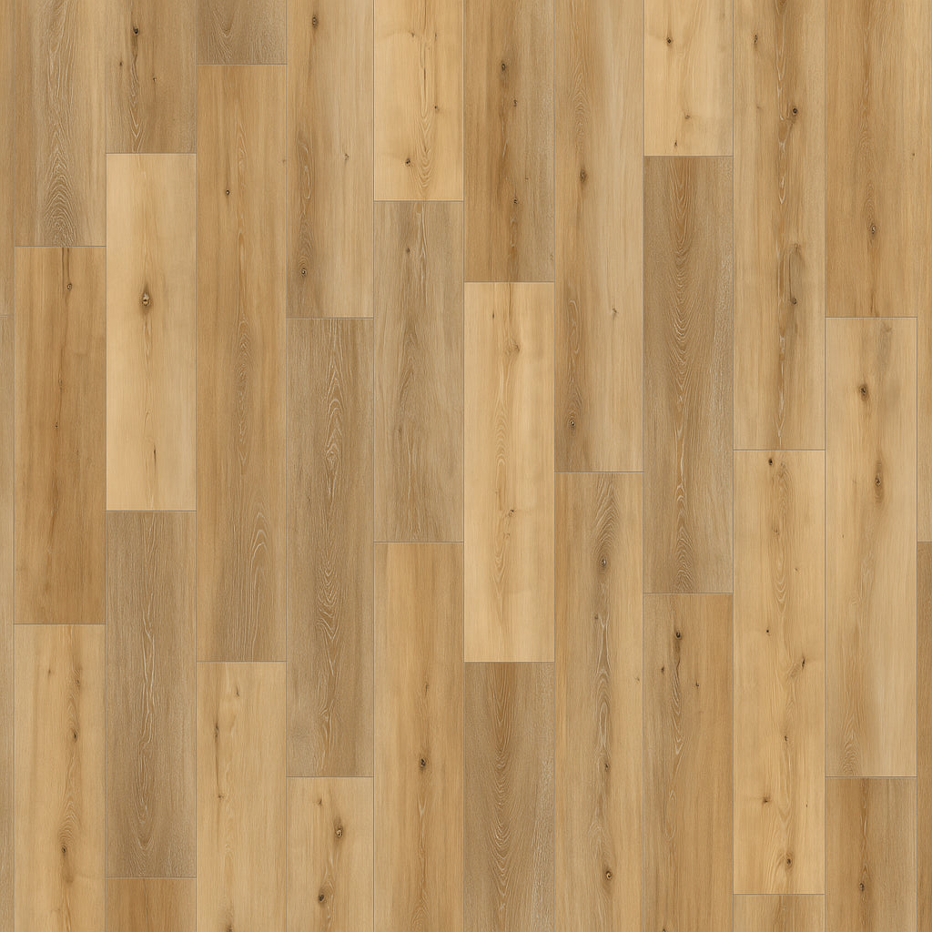 A single green leaf against a white background.