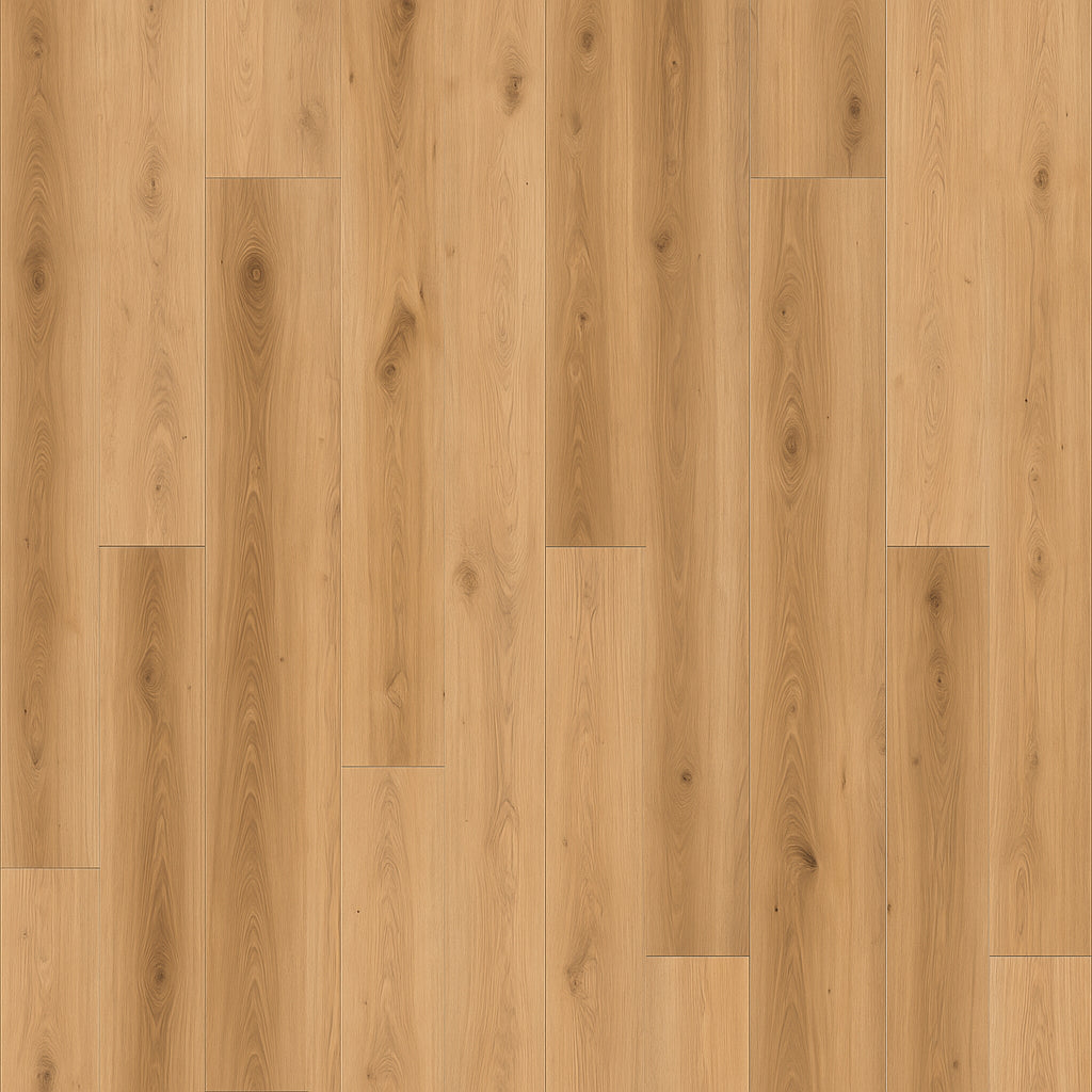 A single green leaf against a white background.