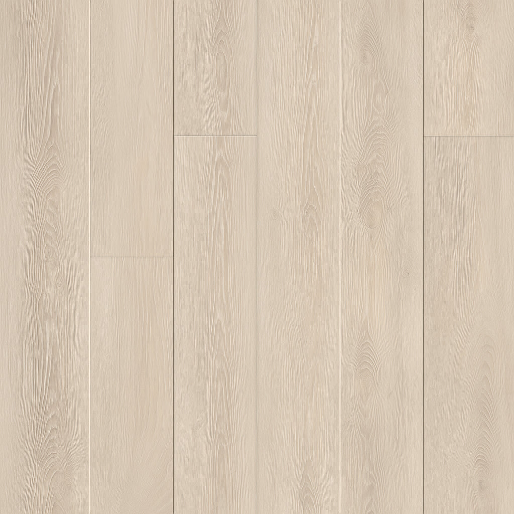 A single green leaf against a white background.