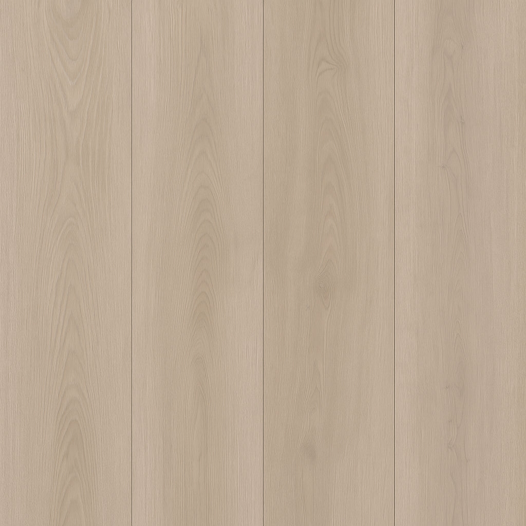 A single green leaf against a white background.