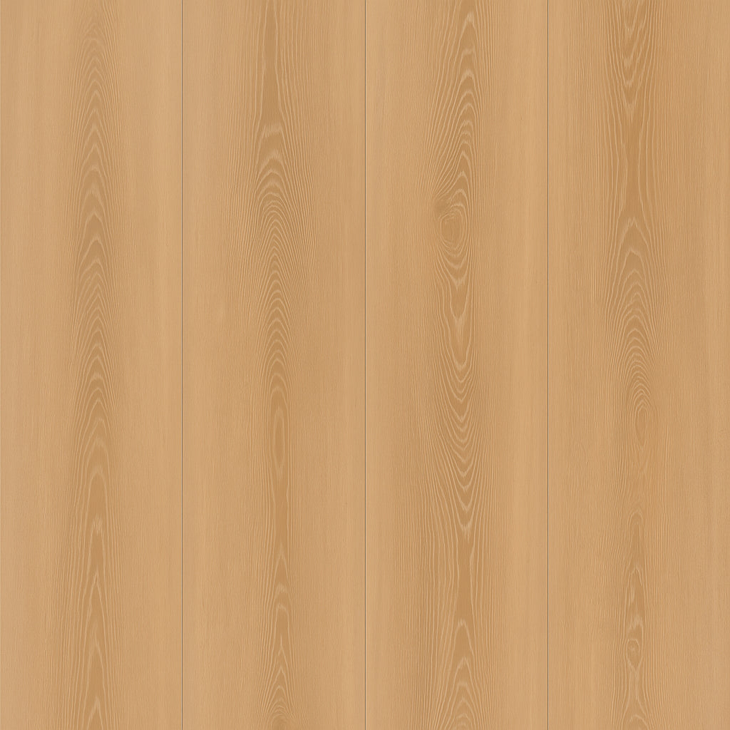 A single green leaf against a white background.