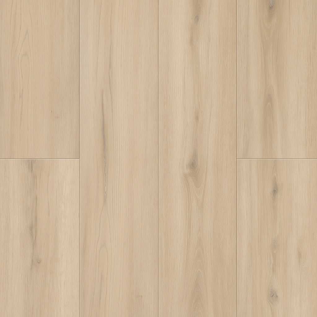 A single green leaf against a white background.