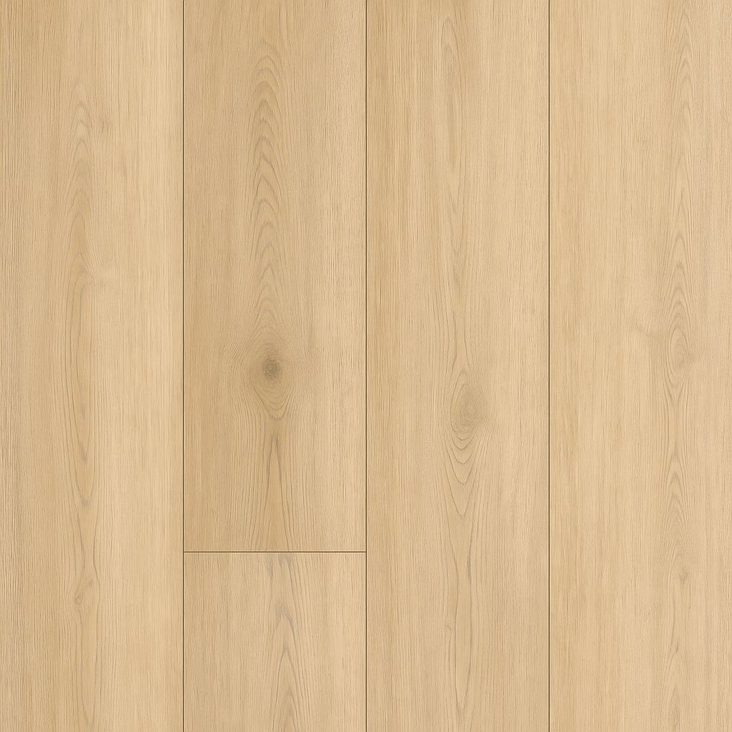 A single green leaf against a white background.