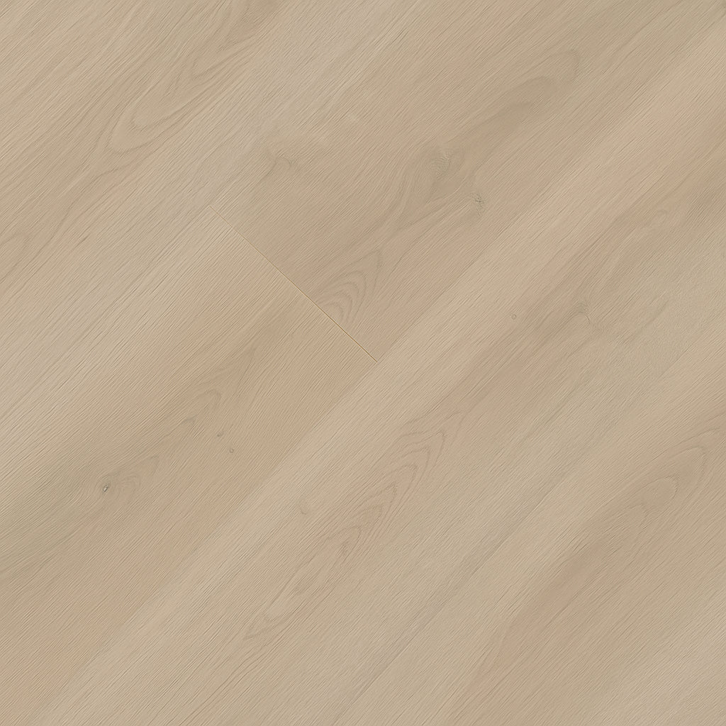 A single green leaf against a white background.