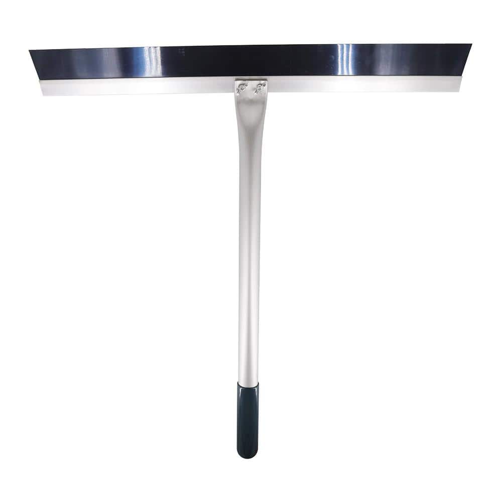 A single green leaf against a white background.