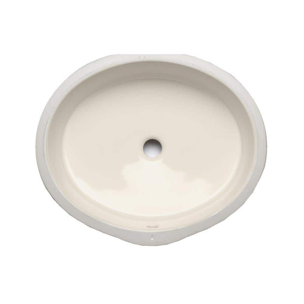 A single green leaf against a white background.