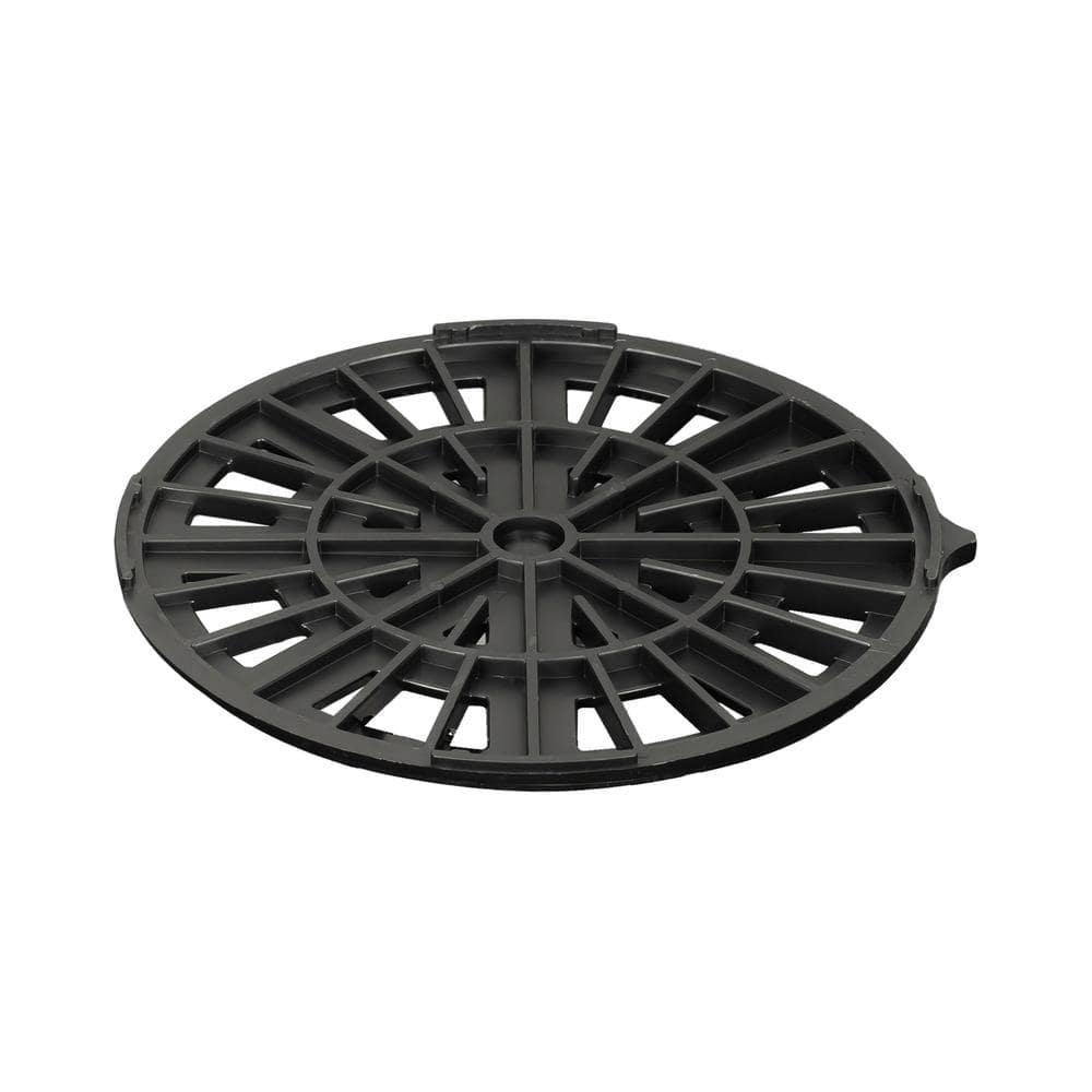 A single green leaf against a white background.