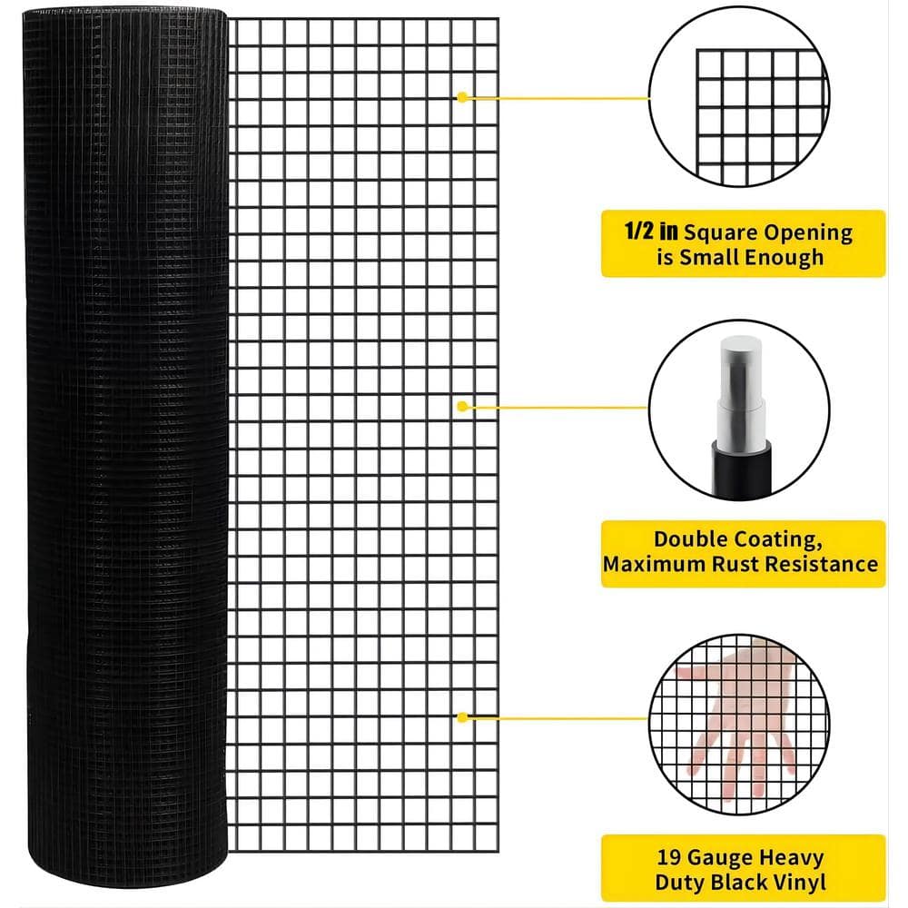 A single green leaf against a white background.