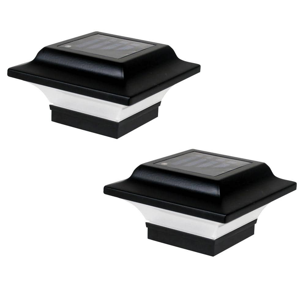 A single green leaf against a white background.