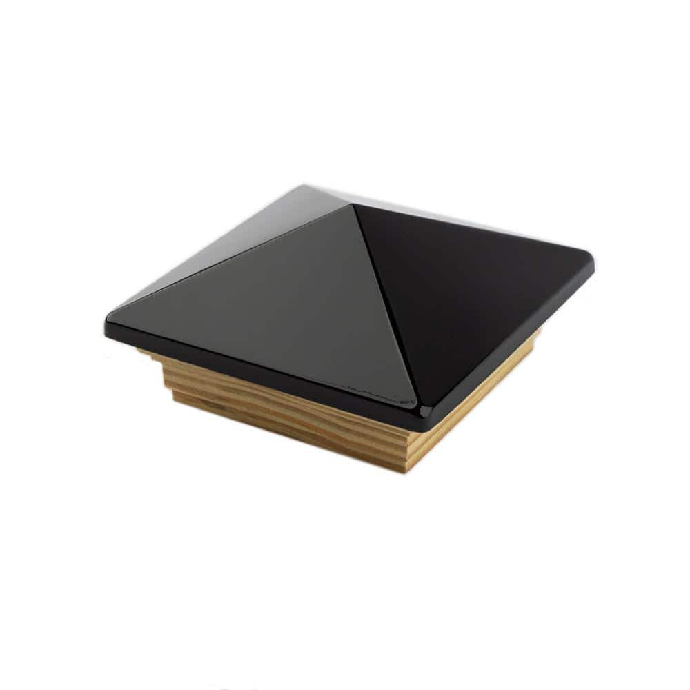 A single green leaf against a white background.