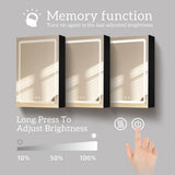 NTQ 40 in. W x 30 in. H Defogging Medium Rectangular Black Aluminum Surface Mount LED Bathroom Medicine Cabinet with Mirror