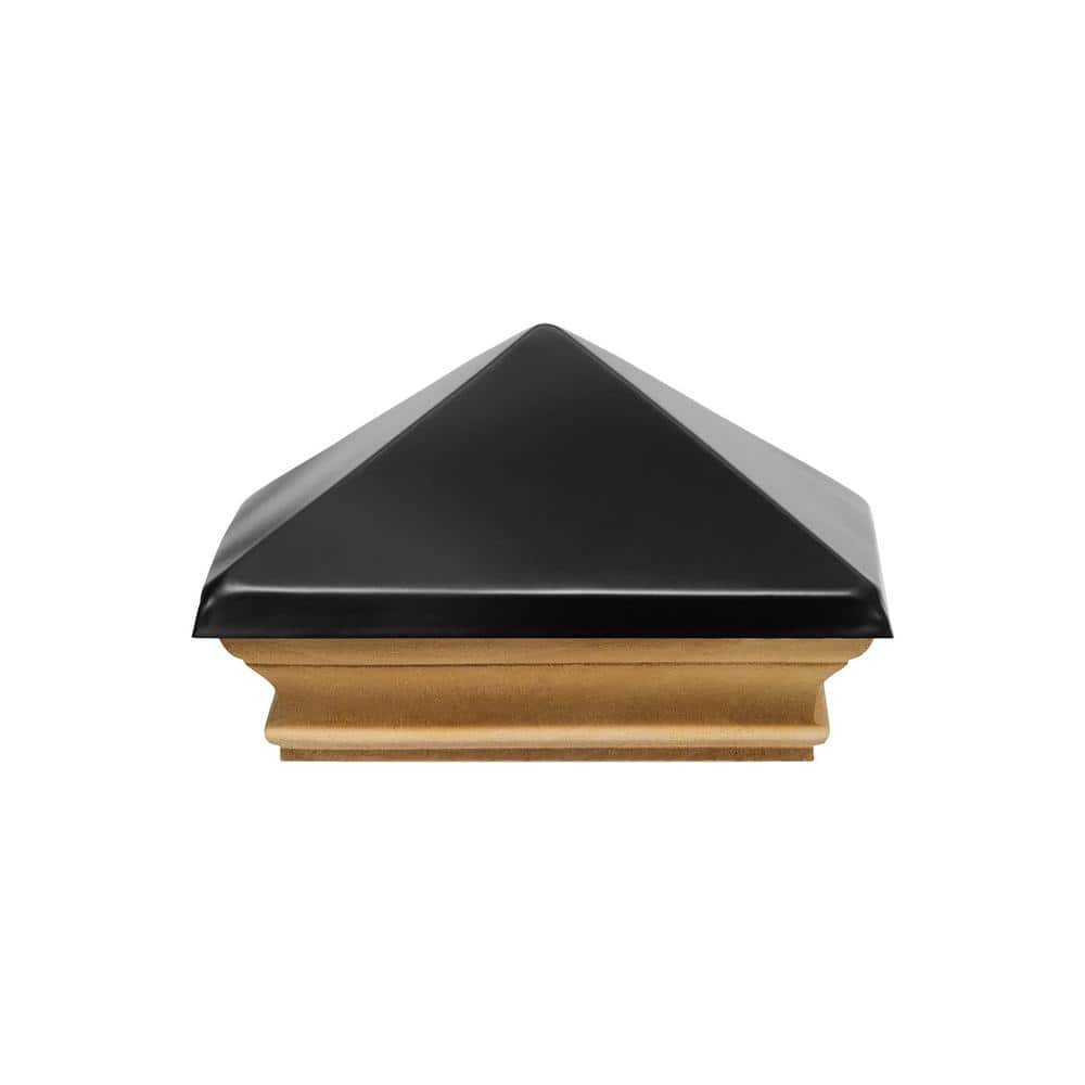 A single green leaf against a white background.